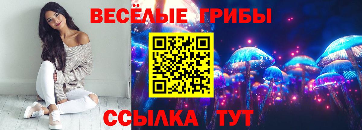 Псилоцибиновые грибы GOLDEN TEACHER Искитим